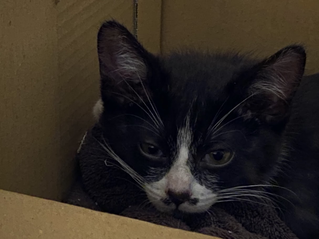 ���o�}���������̂͂���